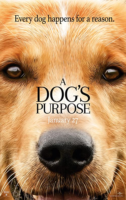 دانلود فیلم A Dog's Purpose 2017 با زیرنویس فارسی چسبیده