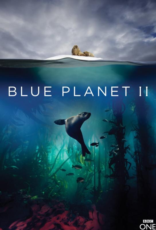 دانلود مستند Blue Planet II با زیرنویس فارسی چسبیده