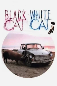 دانلود فیلم Black Cat, White Cat 1998 با زیرنویس فارسی چسبیده